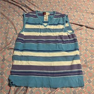 JM Collection Blue and Purple Striped V-Neck Top
